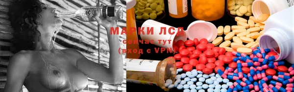 MESCALINE Аркадак